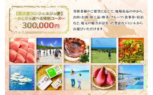宮古島コンシェルジュ便 ～あとから選べる特別コース〜（30万円分）（CW11）