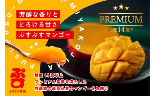 【ぷすぷす農園】＜2026年発送先行予約＞宮古島産完熟マンゴープレミアム（贈答用／2キロ／農園直送）(KY004)