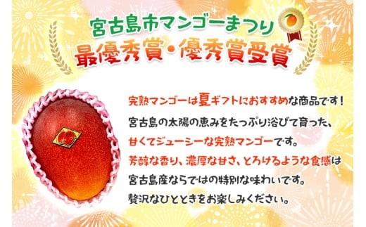 ＜2026年夏発送＞ 宮古島産樹上完熟マンゴー1kg（2～3玉）グットクロップ宮古島（SG001）