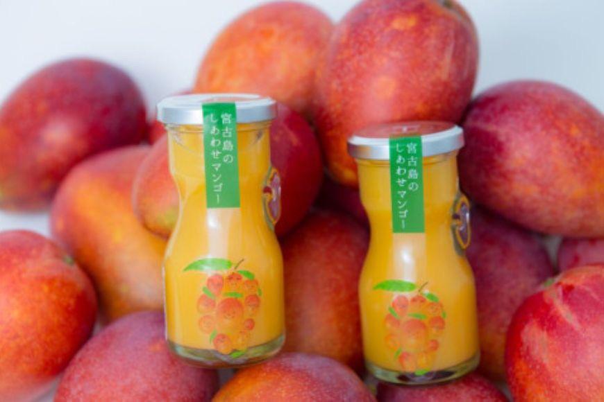 宮古島のしあわせマンゴー　よくばりバラエティセット(T115)