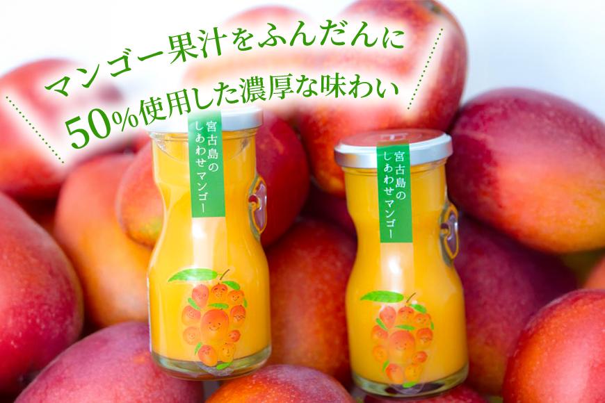 当社人気商品！宮古島のしあわせマンゴー　小瓶５本セット（T113）