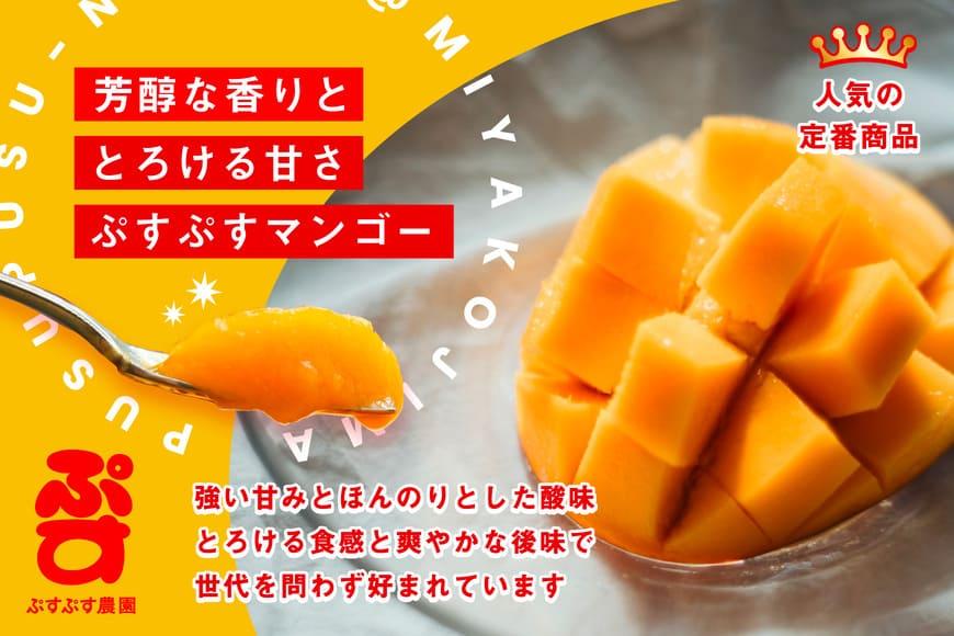 【ぷすぷす農園】＜2026年発送先行予約＞宮古島産完熟マンゴー1玉入り×2個セット（農園直送）（KY005）