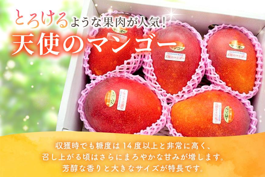 GZ003《先行予約2026年発送》宮古島産アーウィンマンゴー 約2kg（5～7個）【ご自宅用】「LA MANGUE BLEUE」農家直送