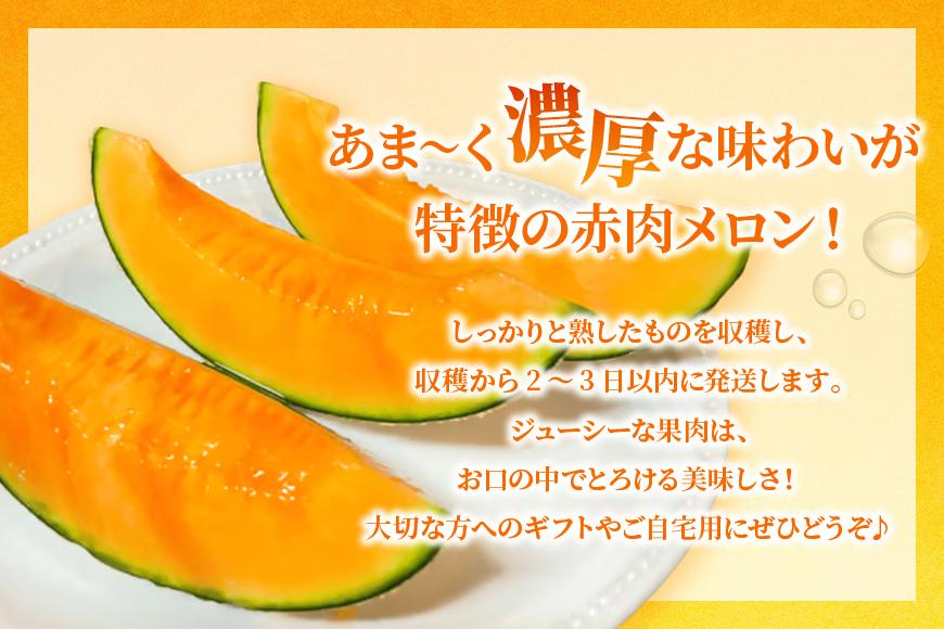 【とみお農園｜農家直送】宮古島産 赤肉メロン 2玉（1玉2kg前後・糖度14度以上）2026年春発送（TN04）