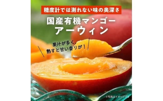 DQ015《先行予約》2026年発送 有機JAS認証マンゴー（アーウィン）贈答用 2kg【楽園の果実】
