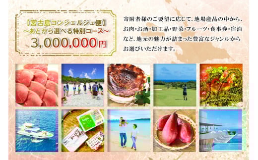 宮古島コンシェルジュ便 〜あとから選べる特別コース〜（300万円分）（CW14）