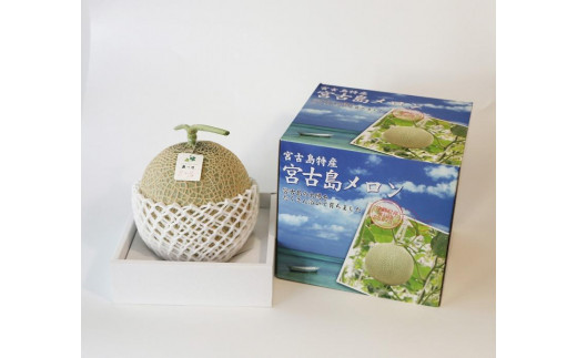 【琉球マルシェ】毎年大好評！沖縄県宮古島産　冬メロン　１玉（大）1.5kg以上　贈答用　冬のギフト