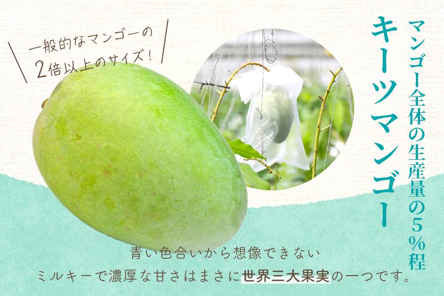 《先行予約 2026年発送》『天使のマンゴー』宮古島産キーツマンゴー《LA MANGUE BLEUE》【ご自宅用】農家直送 1.6kg以上（2個入り）（GZ007）