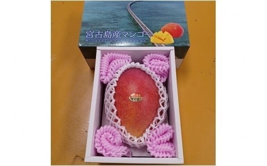 【先行受付】＜2026年発送＞いらぶ島マンゴー園　宮古島産“完熟アーウィンマンゴー”《贈答用》1kg（HR03）