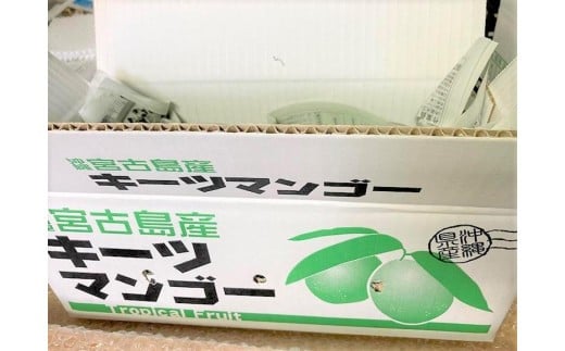 《先行予約 2026年発送》『天使のマンゴー』宮古島産キーツマンゴー《LA MANGUE BLEUE》【ご自宅用】農家直送 1.6kg以上（2個入り）（GZ007）