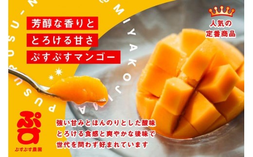 【ぷすぷす農園】＜2026年発送先行予約＞宮古島産完熟マンゴー1玉入り×2個セット（農園直送）（KY005）