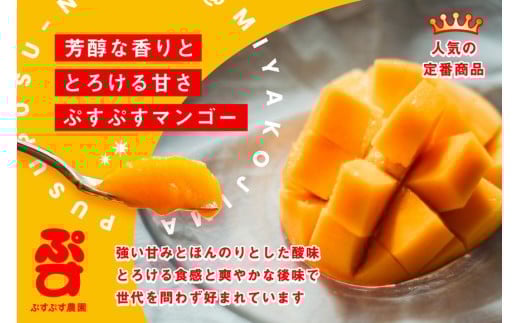 【ぷすぷす農園】＜2026年発送先行予約＞宮古島産完熟マンゴー(家庭用／2キロ／農園直送)（KY002）