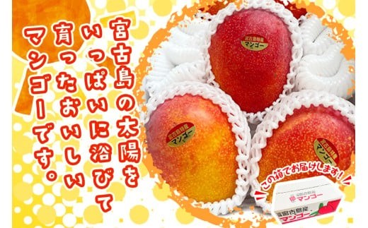 JH001《先行予約 2026年発送》宮古島産マンゴー１kg【(株)フラモン】