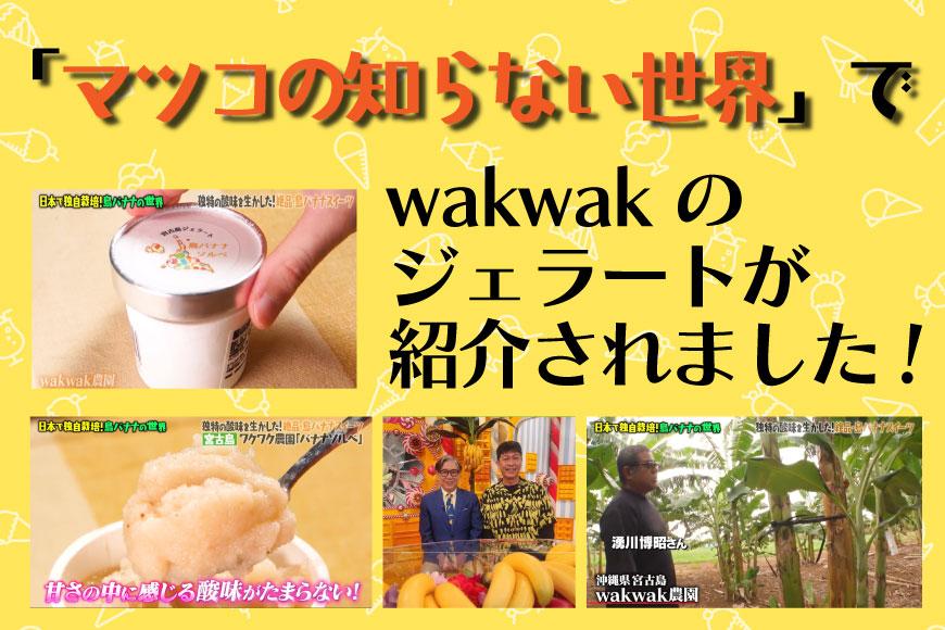 【宮古島産フルーツ使用】宮古島ジェラート 贅沢6種食べ比べセット（WK01）