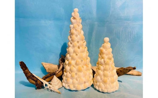 シェルツリーセット【B】
