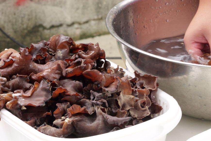 宮古島産生きくらげ（５パック）（KD01）