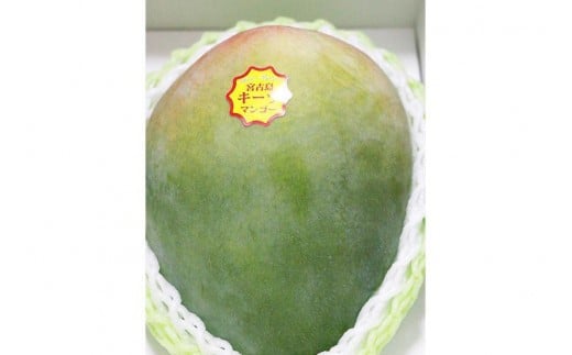 《先行予約》沖縄県宮古島産 減農薬栽培 キーツマンゴー甘濃（かんのう）1玉【琉球マルシェ】