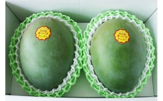 《先行予約》沖縄県宮古島産 減農薬栽培 キーツマンゴー甘濃（かんのう）2玉【琉球マルシェ】