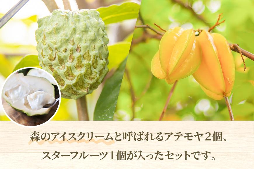 宮古島産　南国フルーツセット（アテモヤ2個、スターフルーツ1個）（CV08）