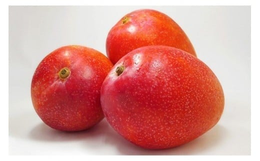 CZ013《先行予約2026年発送》【宮縁果樹園】宮古島産　奇跡のマンゴー　4kg　優品