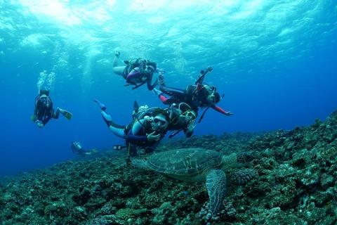 宮古島でダイビング！３日間９ダイブファンダイビングコース（75000円分）