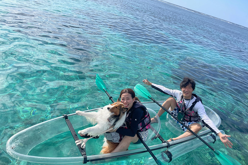 沖縄・宮古島　クリアカヤック・クリアサップ（SUP）ツアー体験【1名様】