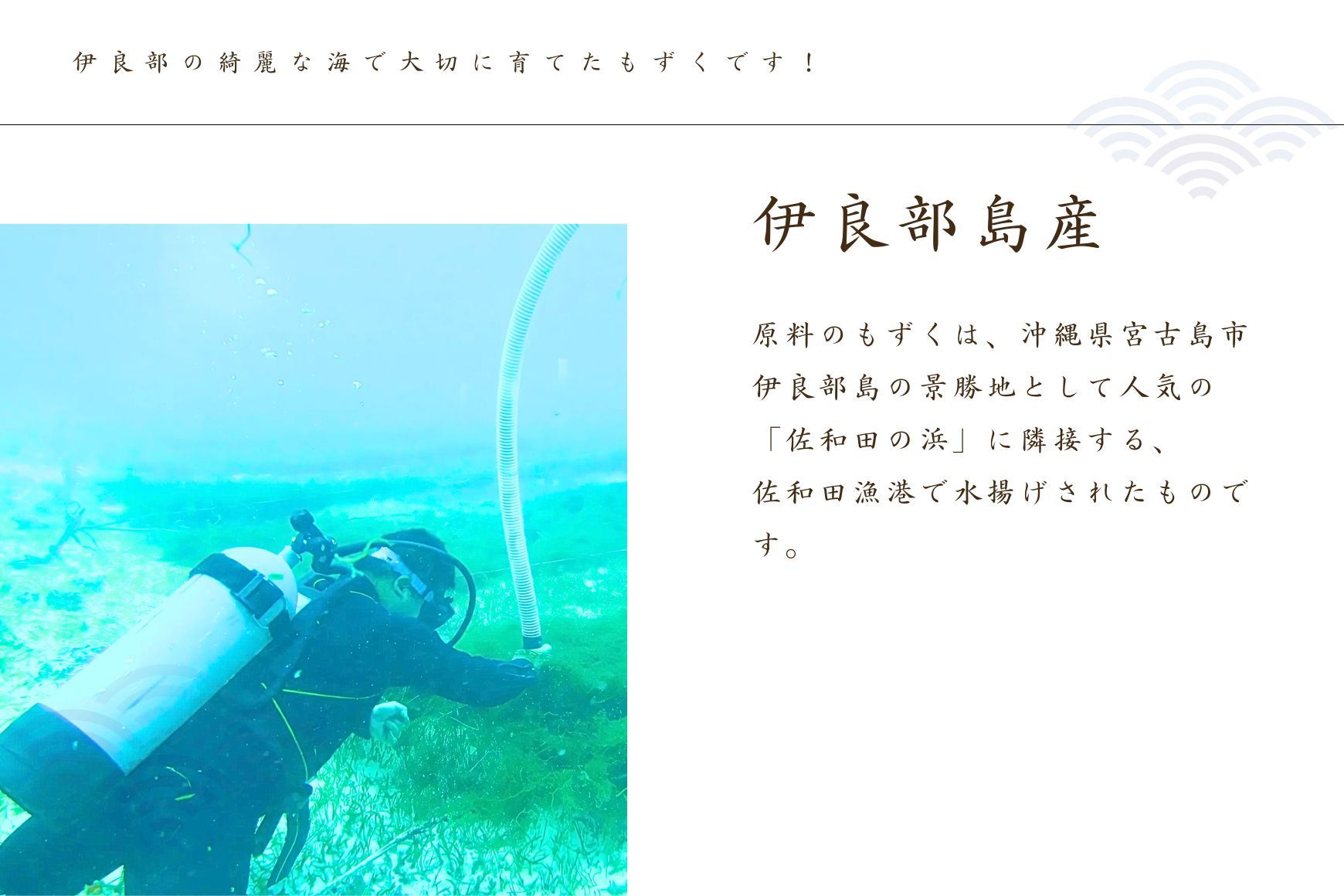 ≪いらぶ島産　養殖生もずく≫いらぶ島産もずく冷凍300ｇ×10個（FU006） 沖縄 宮古島 ふるさと納税 おすすめ 人気 もずく モズク 海藻 ミネラル 海 食