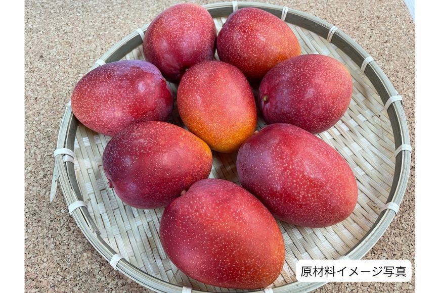 HM03　宮古島ドライマンゴー（4袋入り）