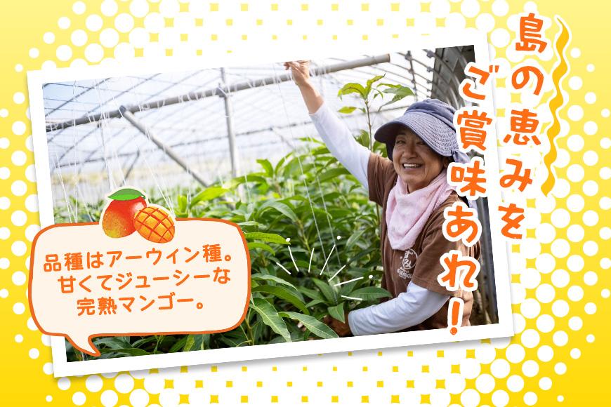 JH002《先行予約 2026年発送》宮古島産マンゴー２㎏【㈱フラモン】