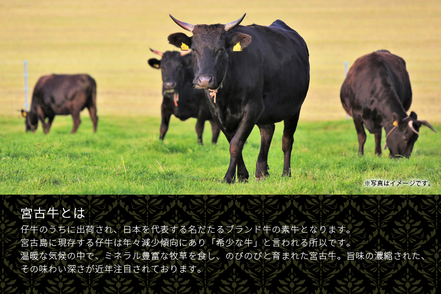 R116【定期便】【JA認定】宮古牛カルビ焼肉(200g×2P)＜定期便全4回＞