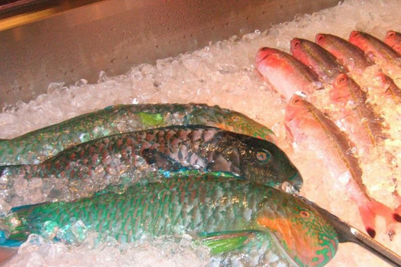 宮古島でフィッシング！（釣り竿レンタルセット）