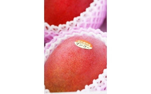 《先行予約》沖縄県宮古島産 減農薬栽培マンゴー 1kg【優品】｜贈答用・糖度14度以上！｜琉球マルシェ