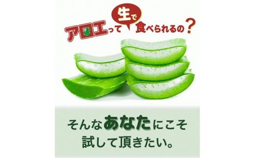アロエベラ 食用 大きな生葉（4枚～5枚） 沖縄・宮古島産｜有機JAS