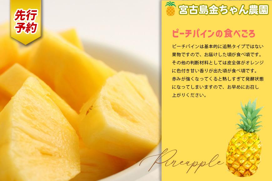 《先行予約》【2026年発送】宮古島産ピーチパイン 2kg（3～4個）セット《金ちゃん農園》（AK107）