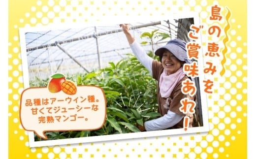 JH001《先行予約 2026年発送》宮古島産マンゴー１kg【(株)フラモン】