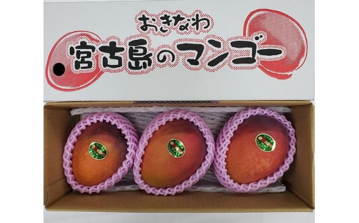 ＜2026年夏発送＞【家庭用】激うま！宮古島産アップルマンゴー1kg(2～3玉)ふれあいフルーツ宮古島【家庭用】激うま！宮古島産アップルマンゴー1kg(2～3玉)ふれあいフルーツ宮古島(FA01)