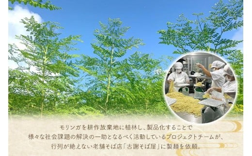 行列ができる宮古島のそば屋より直送　モリンガ宮古そば(2人前セット)（MP01）