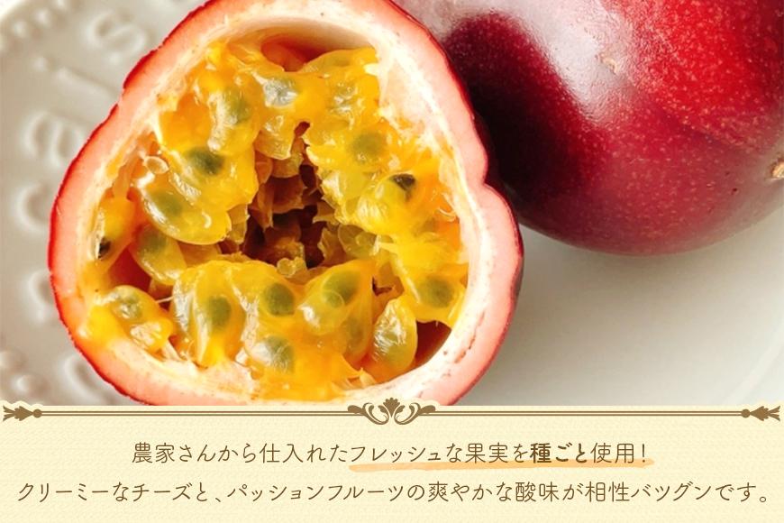 宮古島産パッションレアチーズケーキ（HP002）