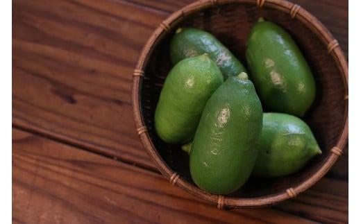 MOSESU CURRYの島カレーシリーズ　軟骨ソーキと島レモンのカレー 250g×3食（FP003）