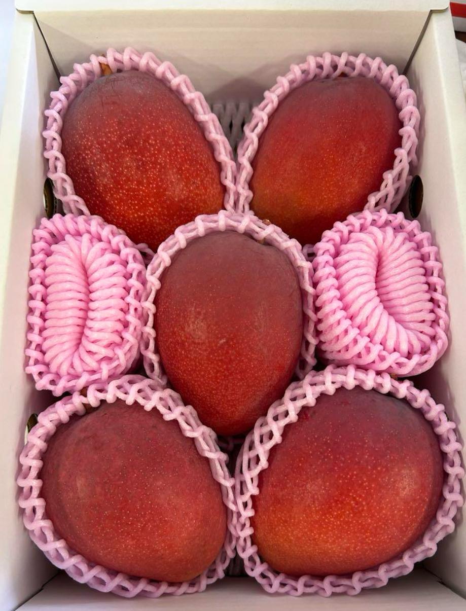 【プレミアム】宮古島産マンゴー2kg ＜リトルグローブ＞（LT006）