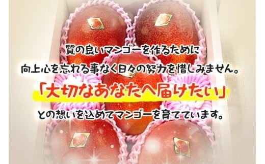 ＜2026年夏発送＞ 宮古島産樹上完熟マンゴー（訳あり/ご家庭用）1kg（2～3玉）グットクロップ宮古島（SG004）