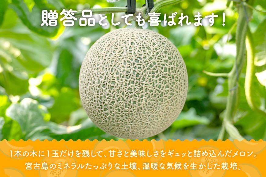 【8farm】宮古島産てぃだメロン1玉（2kg以上）《2025年12月～1月発送》（JC005）