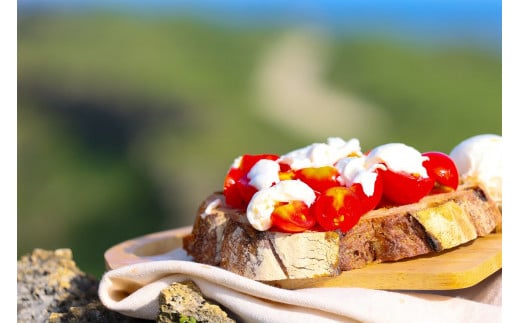 【Early Remix】チーズ3種セット|リコッタチーズ モッツァレラチーズ スカモルツァ（CJ08）