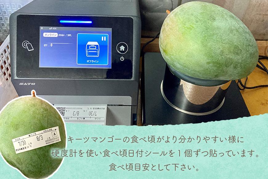 《先行予約 2026年発送》 『天使のマンゴー』宮古島産キーツマンゴー 約800g（1玉）ご贈答用「LA MANGUE BLEUE」農家直送（GZ005）