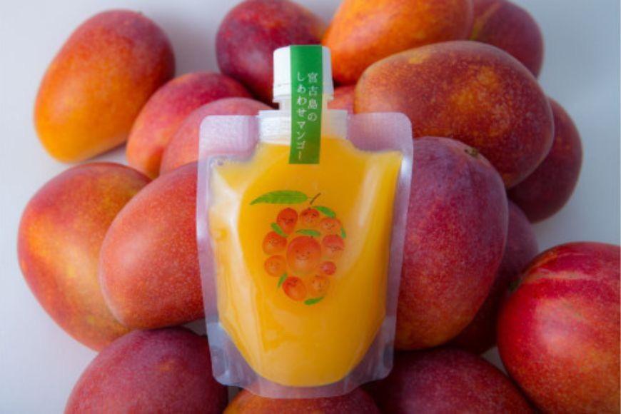 宮古島のしあわせマンゴー　SoSweetセット(T116)