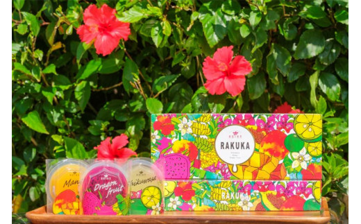 DQ032　RAKUKAゼリー6個セット｜沖縄 宮古島  おすすめ  母の日 ギフト