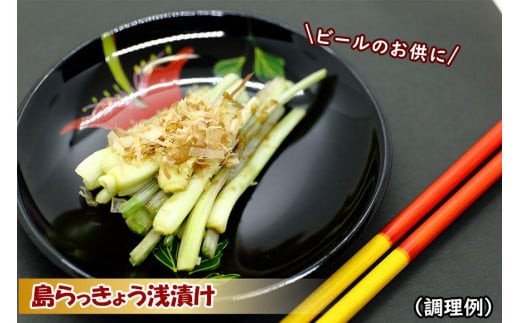 島らっきょう（500g）AZ106