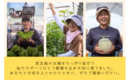 JH023　宮古島 旬の南国フルーツ 定期便【(株)フラモン】