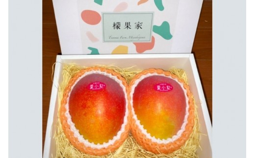 【2026年先行予約】【檬果家】【定期便】マンゴー好き必見！最強コンビ食べ比べ【アーウィン＆夏小紅】（HZ002）