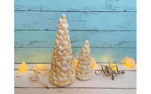 シェルツリーセット【B】